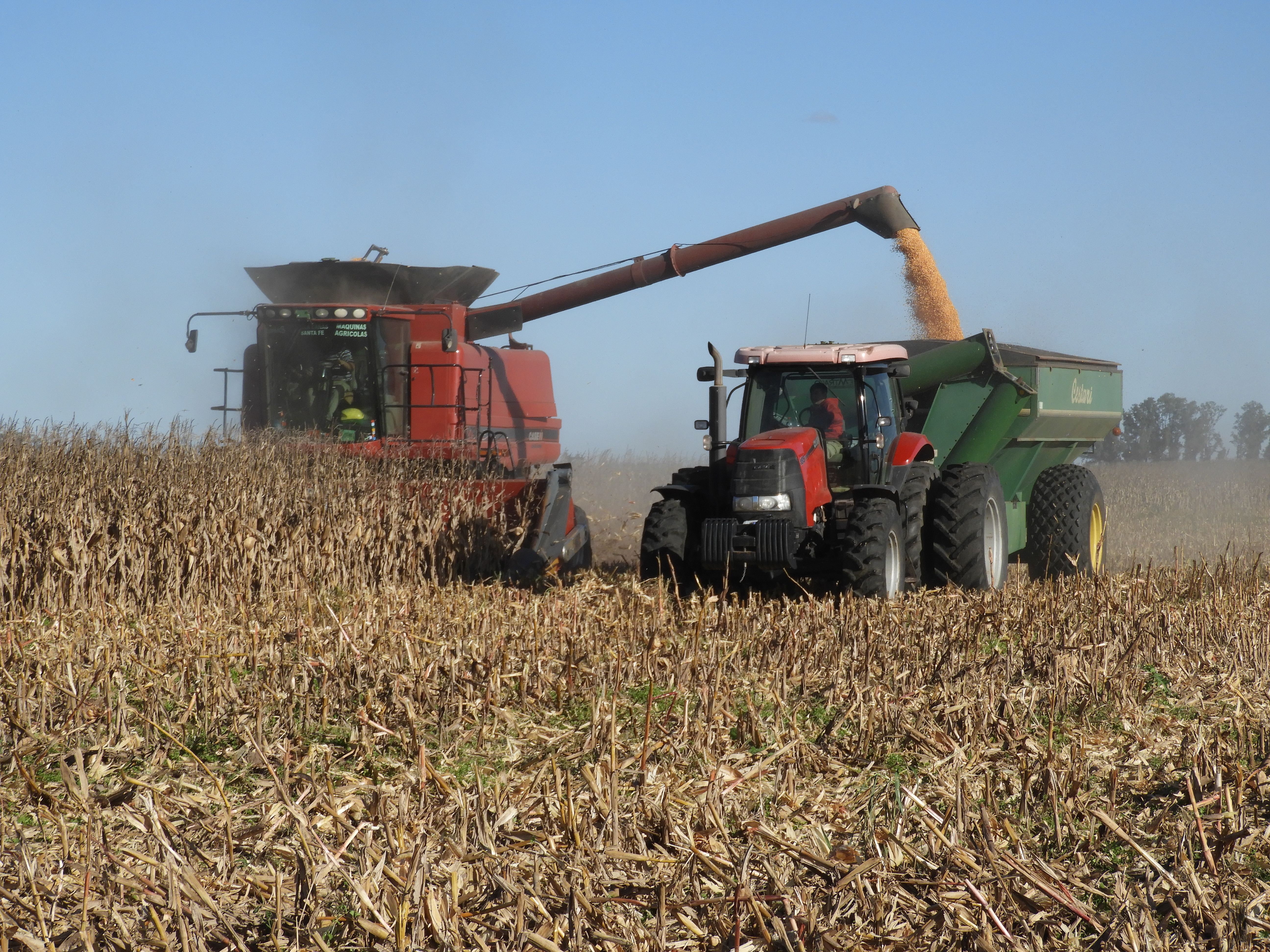 COMISIÓN DE AGRICULTURA